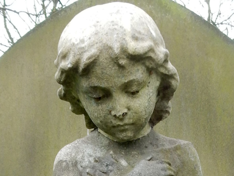 Cherub