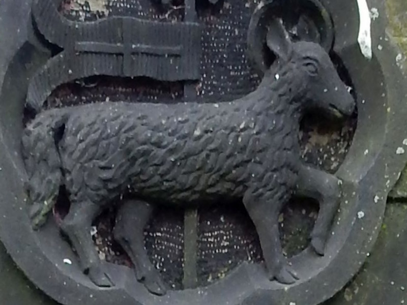Lamb