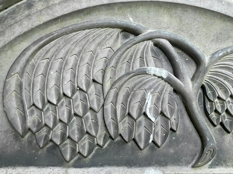 Weeping Willow
